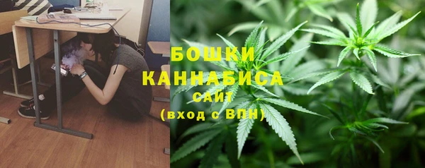 индика Краснослободск