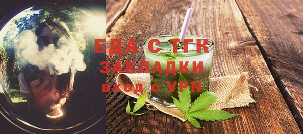 индика Краснослободск