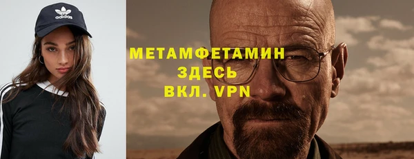 индика Краснослободск