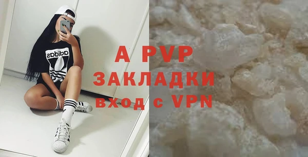 индика Краснослободск