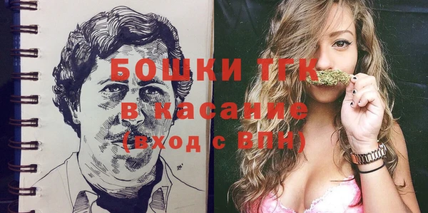 индика Краснослободск