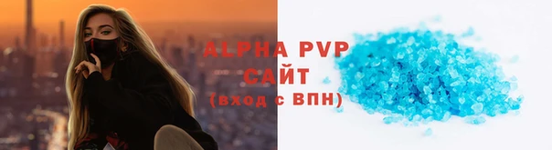 индика Краснослободск