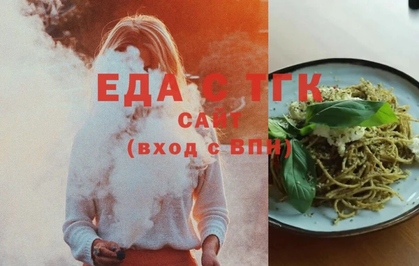 индика Краснослободск