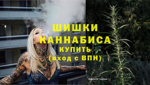 крисы Краснотурьинск