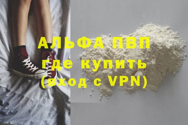 индика Краснослободск