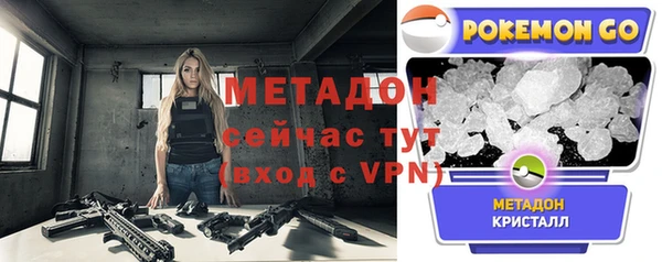 индика Краснослободск