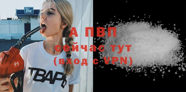 индика Краснослободск