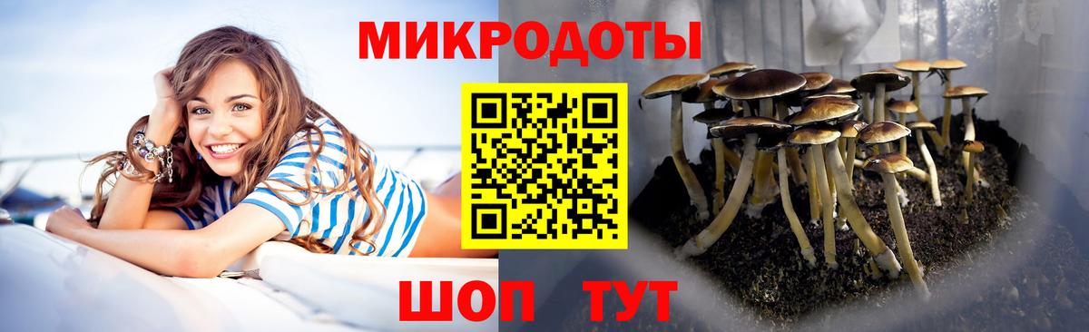 Галлюциногенные грибы Psilocybine cubensis  Вход с VPN  Крымск 